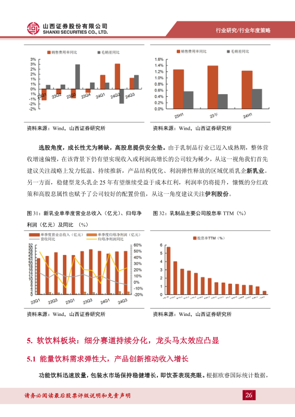 报告页面26
