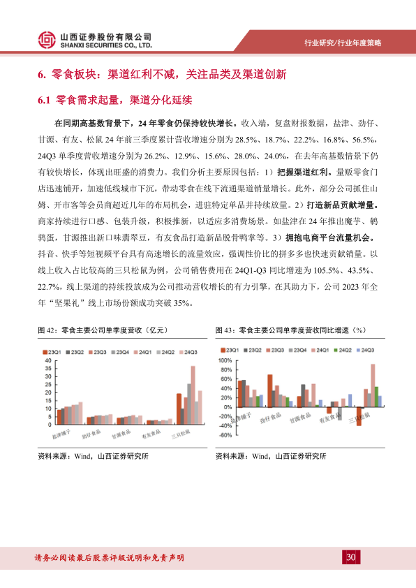 报告页面30
