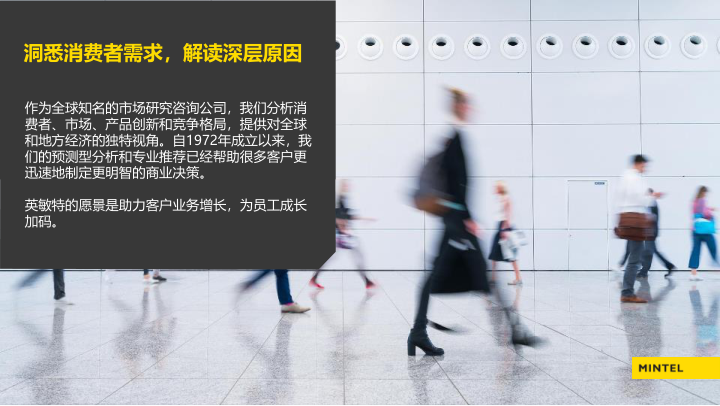 报告页面2