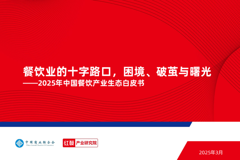 报告页面1