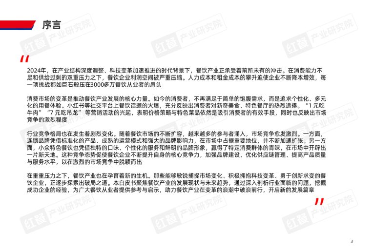 报告页面3