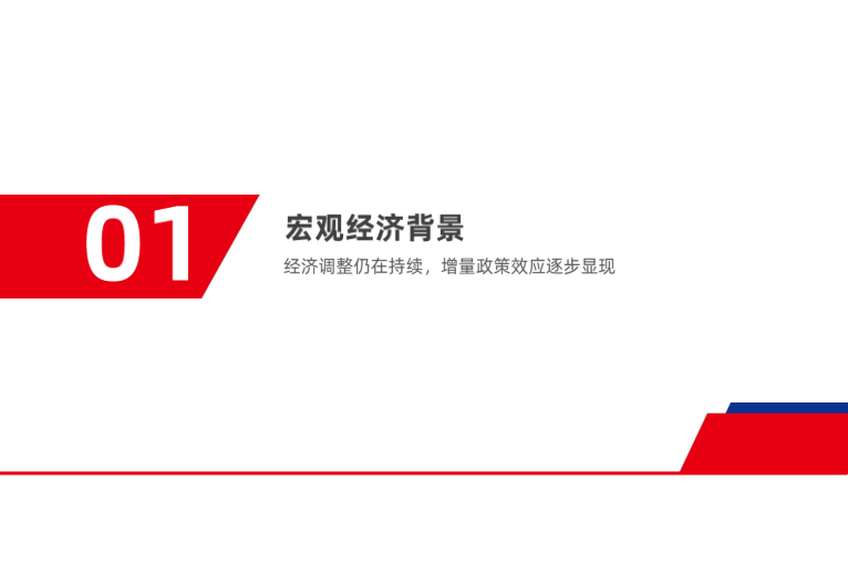 报告页面4