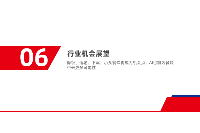 报告页面44