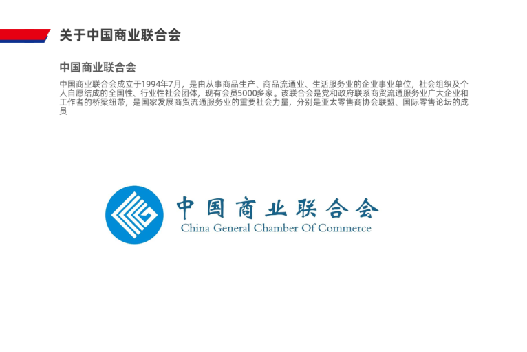报告页面50