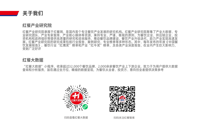 报告页面51