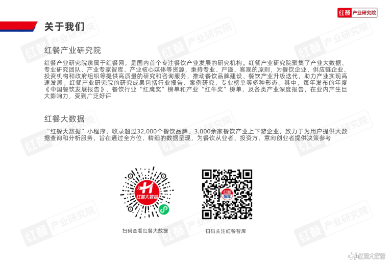 报告页面23