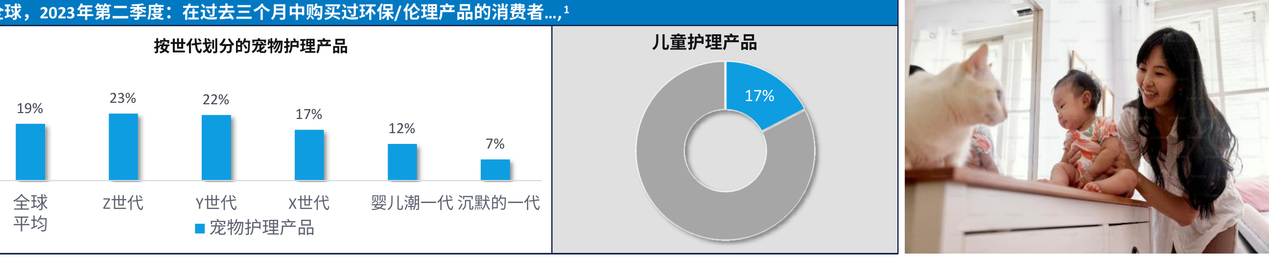 图表图片